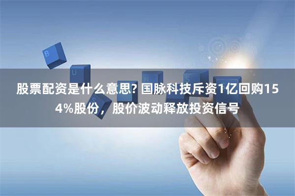 股票配资是什么意思? 国脉科技斥资1亿回购154%股份，股价波动释放投资信号